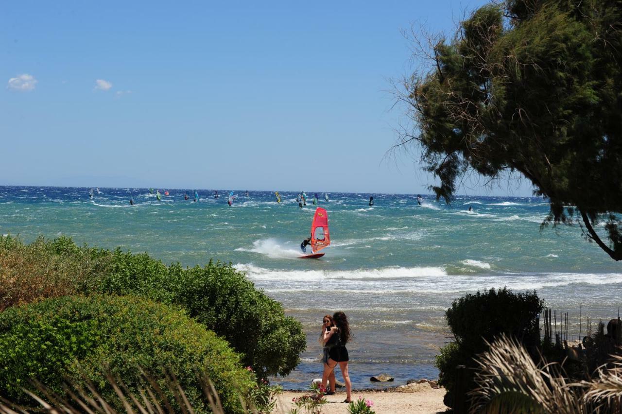 Windsurfing Seaside Apartment Artemida Ngoại thất bức ảnh